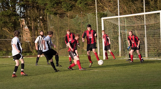 博格丹归属 博格丹归属