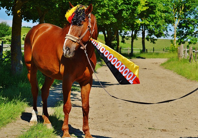 转会事宜达 转会事宜达