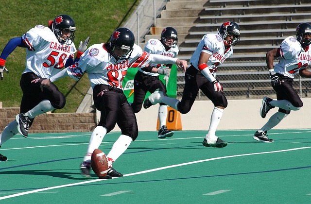 赛前景构成 赛前景构成