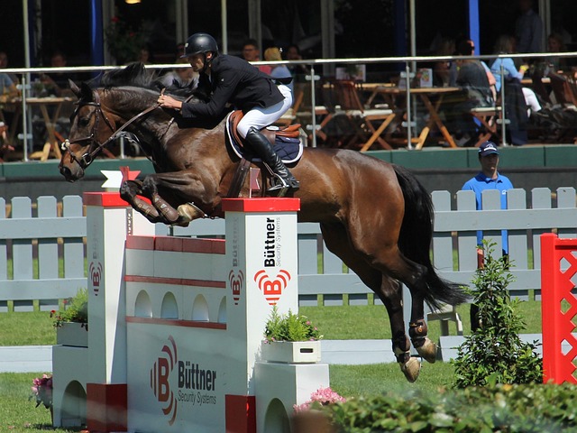 这个年轻的 这个年轻的