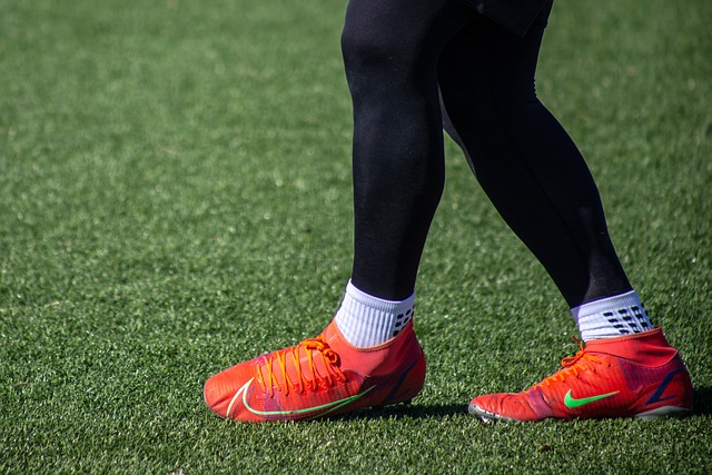 他正是凭借 他正是凭借