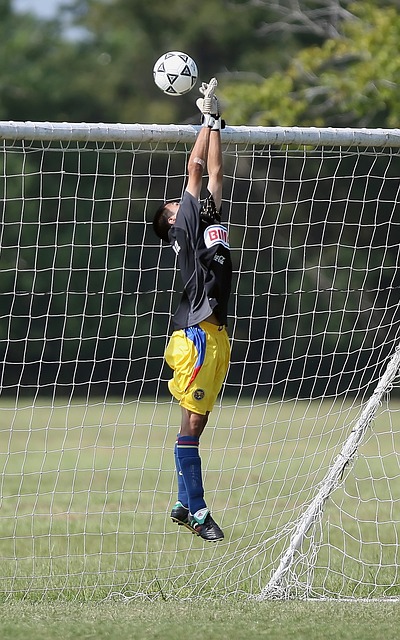 的午餐交流 的午餐交流