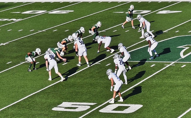 的心理状态 的心理状态