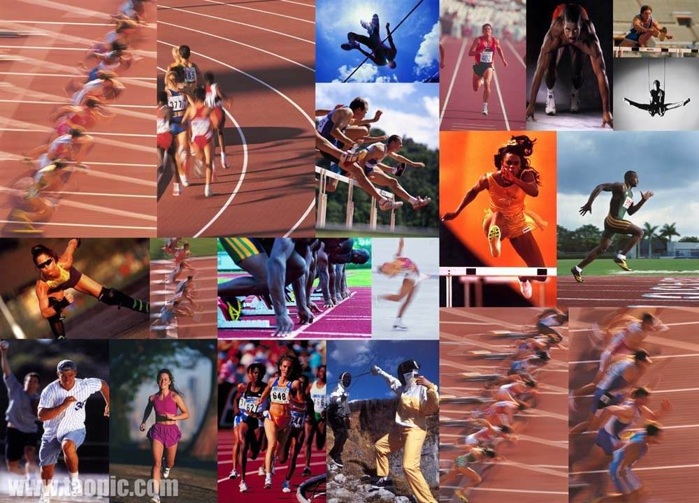 竞技水平 竞技水平