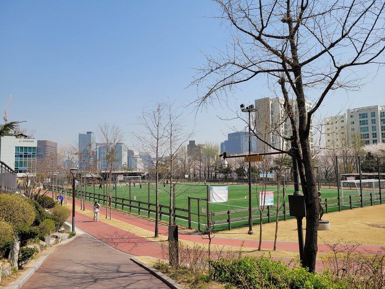 的战略布局 的战略布局