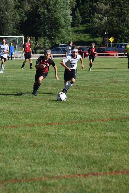 度集中的购 度集中的购