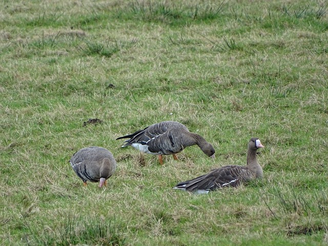 清晰的目標 清晰的目標